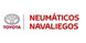 Logo NEUMATICOS NAVALIEGOS